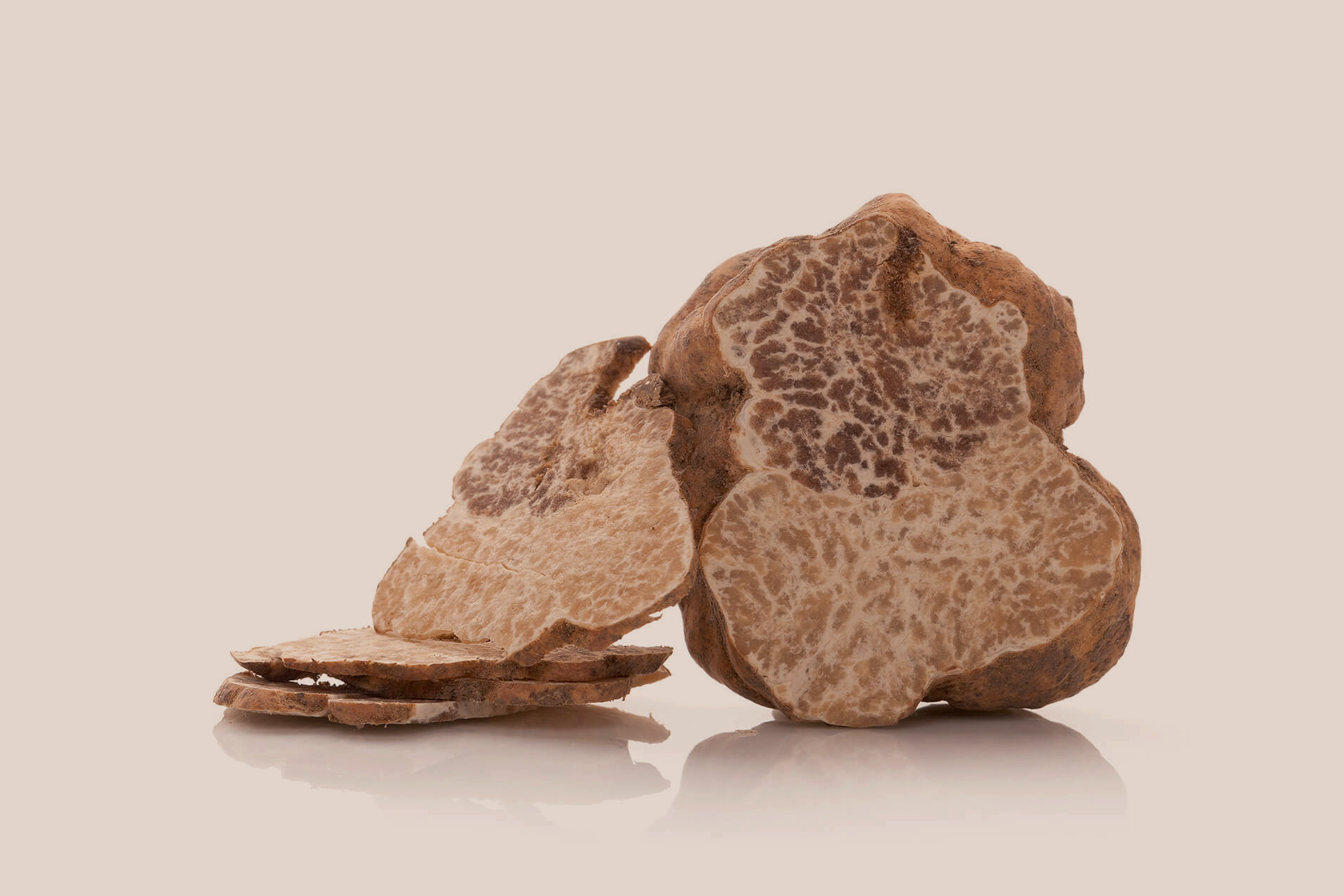 Tartufo Bianco magnatum Pregiato Prima Scelta